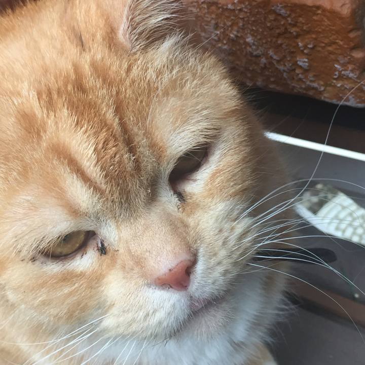 A1b4dd15 7c2d 4a1f 8801 d44c81fed08a 1552718255541