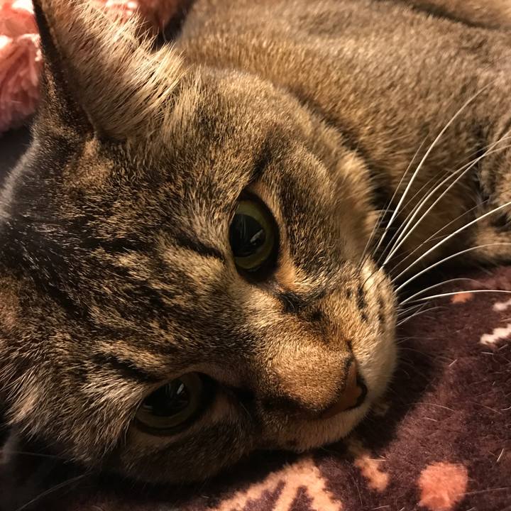 A1b4fb55 5bfa 4d69 80c9 58b20522135d 1556519487849