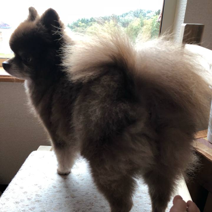 A1b502a0 02bb 47e8 b853 2bbb8eebf57d 1571055022194