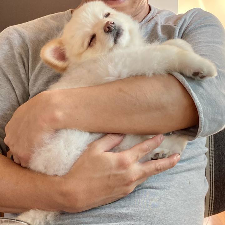 A1b510ff f74f 463e 8489 469278f18274 1633260250569