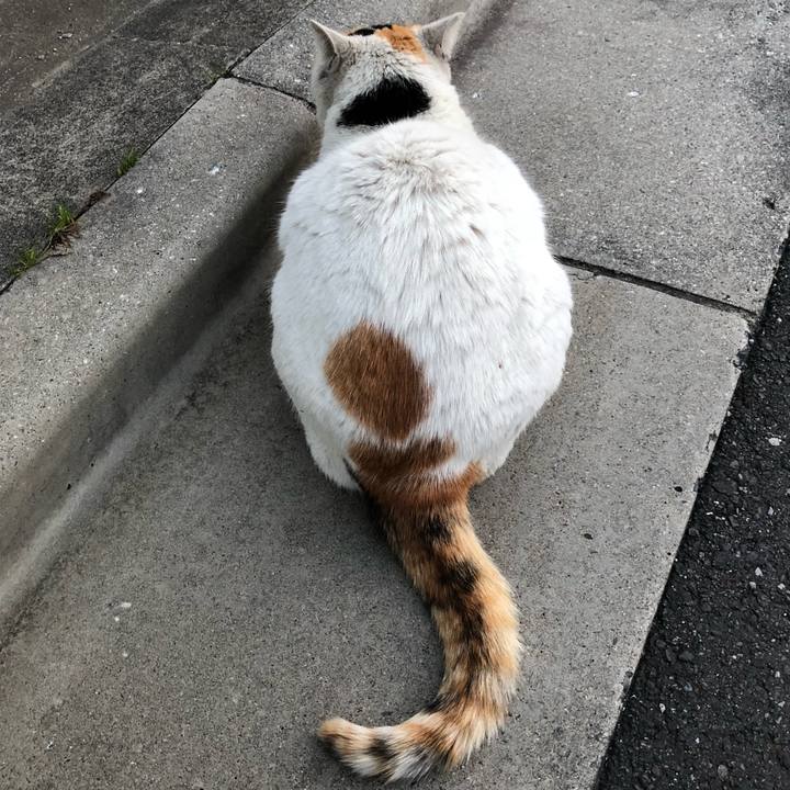 A1b515e0 1162 46ca be0a 2ac82352b133 1520673660320