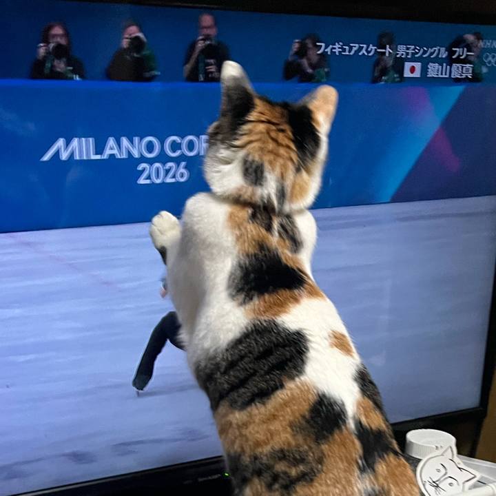 A1b51a66 1ab3 48aa 90b4 9cc72927a459 1771115266152