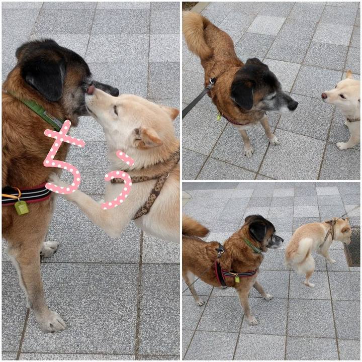 A1b54687 833a 4775 8b98 da86428cfe3e 1543281727733