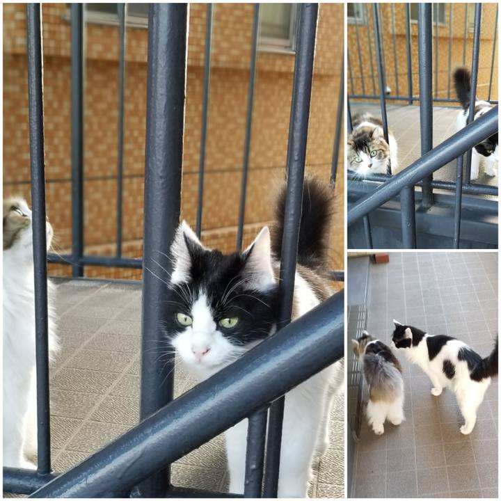 A1b548d2 6631 4214 9b87 eb56d4eece97 1596234650416