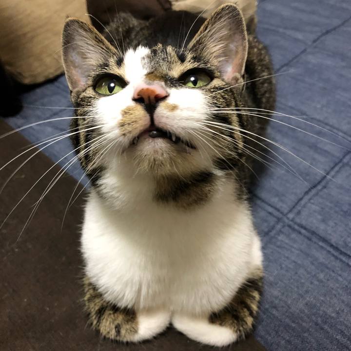 A1b57192 8e91 4deb ad64 e81a68997fa9 1528382038471