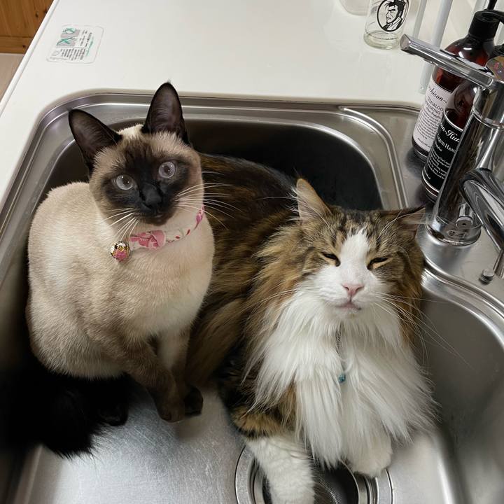 A1b5a242 7b6c 434e 824c 1aef4cacb047 1715023836385