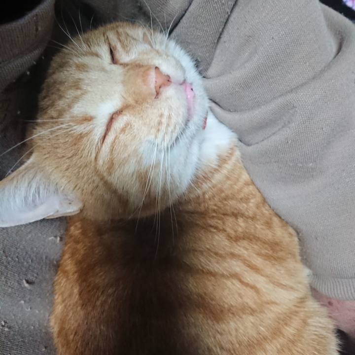 A1b5a381 a028 454c 9bc2 0944410cf13b 1575575995331