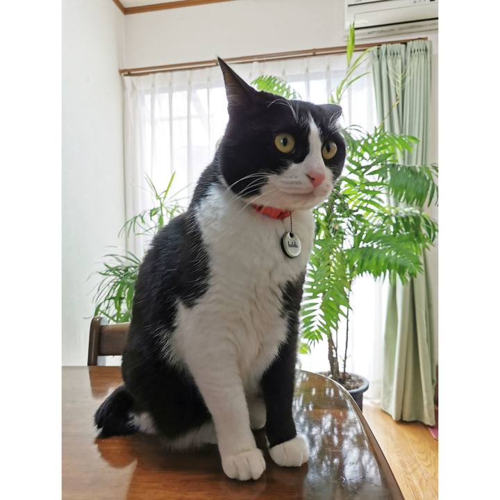 A1b5a43f 9e69 4500 a3f2 ebc00c05d19f 1675570909996