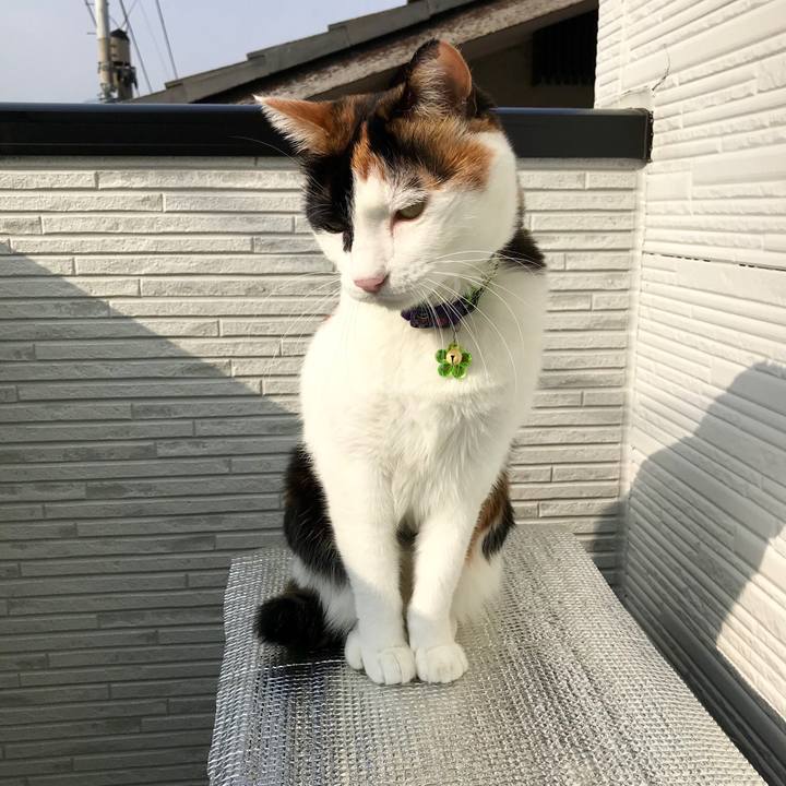 A1b5abbc 813c 465d 8625 d2cef7f3e698 1543627722119