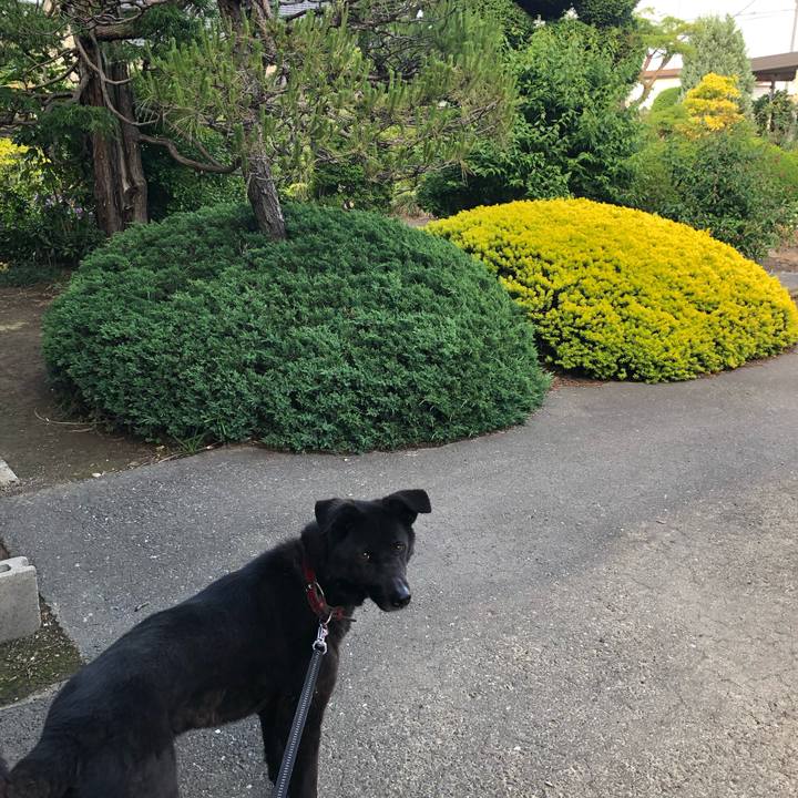 A1b5aec6 7ab0 458c 9b65 82e88224d9e5 1558513138537