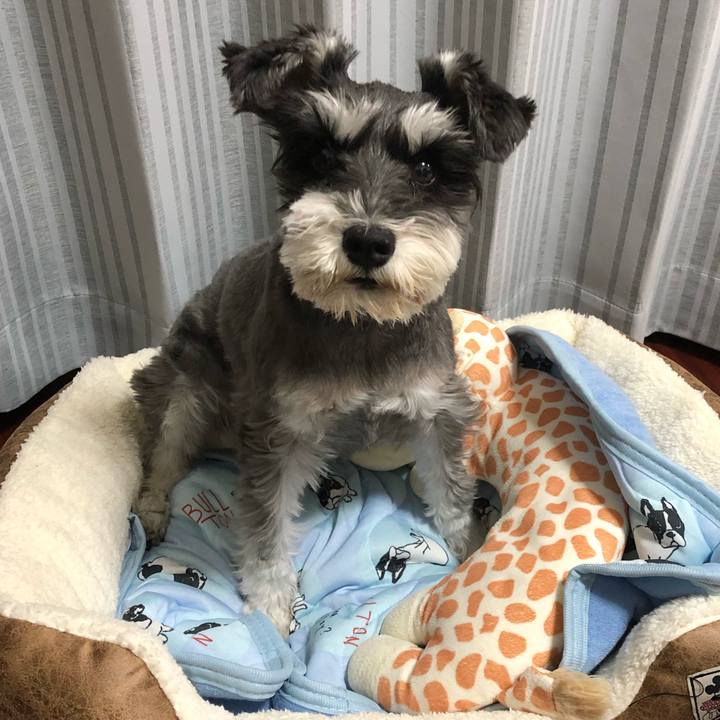 A1b5d00e d07d 4eee 845a e6c61211af9b 1652872053182