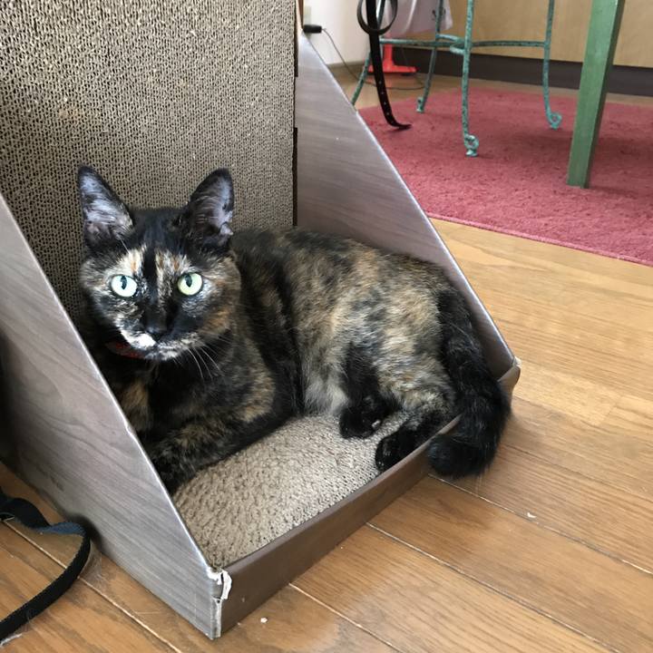 A1b5d10c ecc8 46df 922d 59a235fdd578 1531442835274