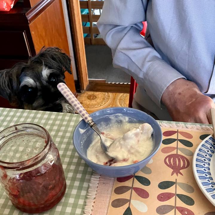 A1b606bb 3976 4a82 b946 d6cf08e82d5d 1745728723070