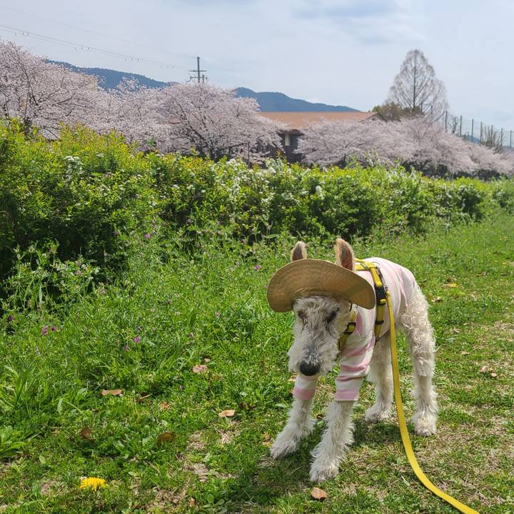 A1b6158b 04e1 40f6 8478 91e36c38f1e4 1712532199758