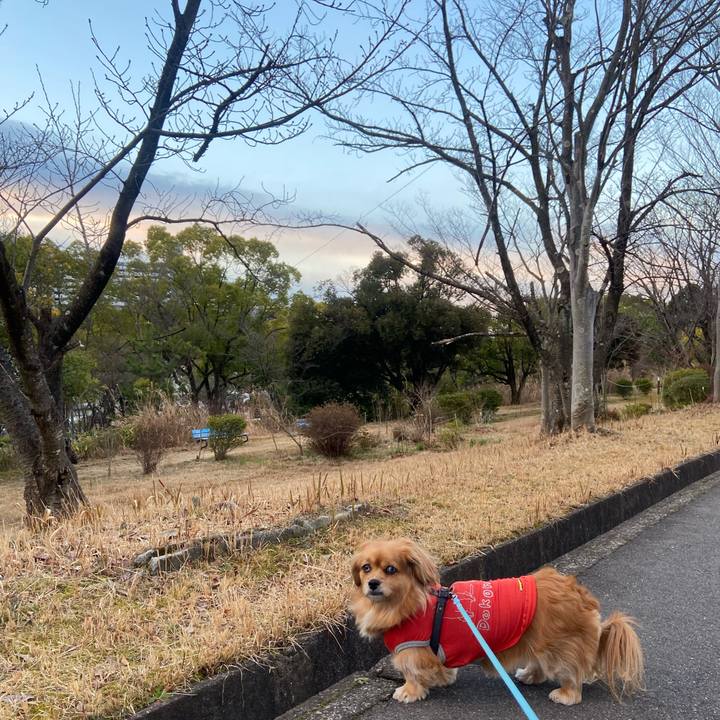 A1b628fb 021f 4198 afee 531ed02bb5ab 1613513569372