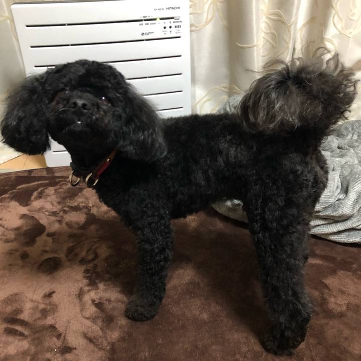 A1b62cfb 4fa2 425f 968d a674080aa8b6 1555916709807