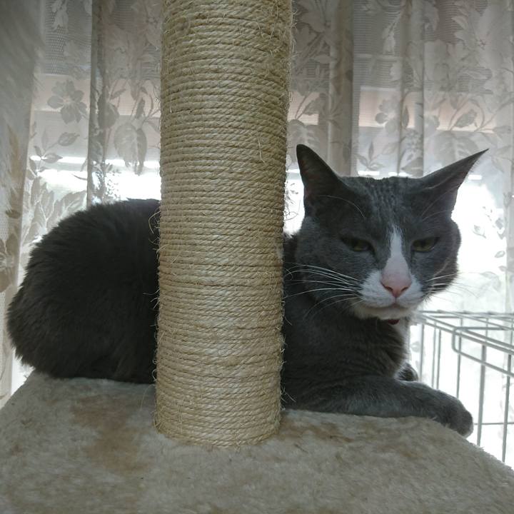 A1b63148 8cc1 4077 b210 9eade297f710 1515984965960