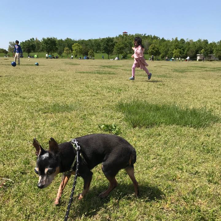 A1b64bfb a388 48ec bdad 40ece59fbc30 1556787926448