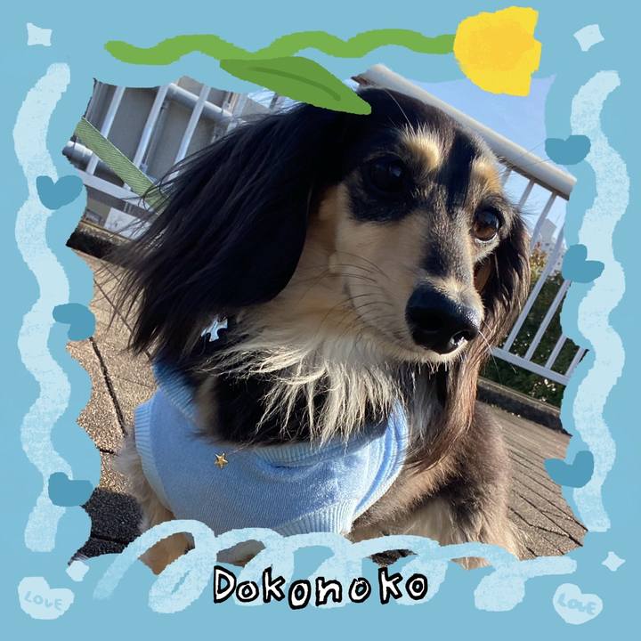 A1b6a230 8113 4033 8972 b6e94eb63bc5 1772254620515