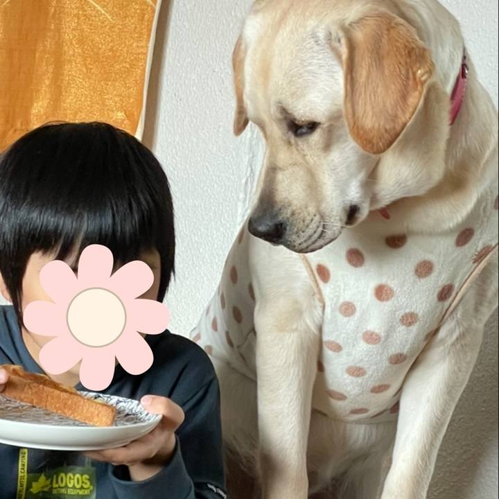 A1b6a8d2 2101 4c7f 8c2b f8f7862b06df 1636161381196