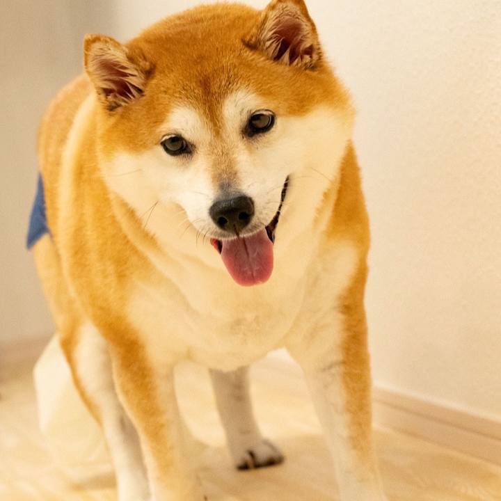 A1b6b8db 025f 4b9c b1b5 ac7e2a5c9511 1702091057843