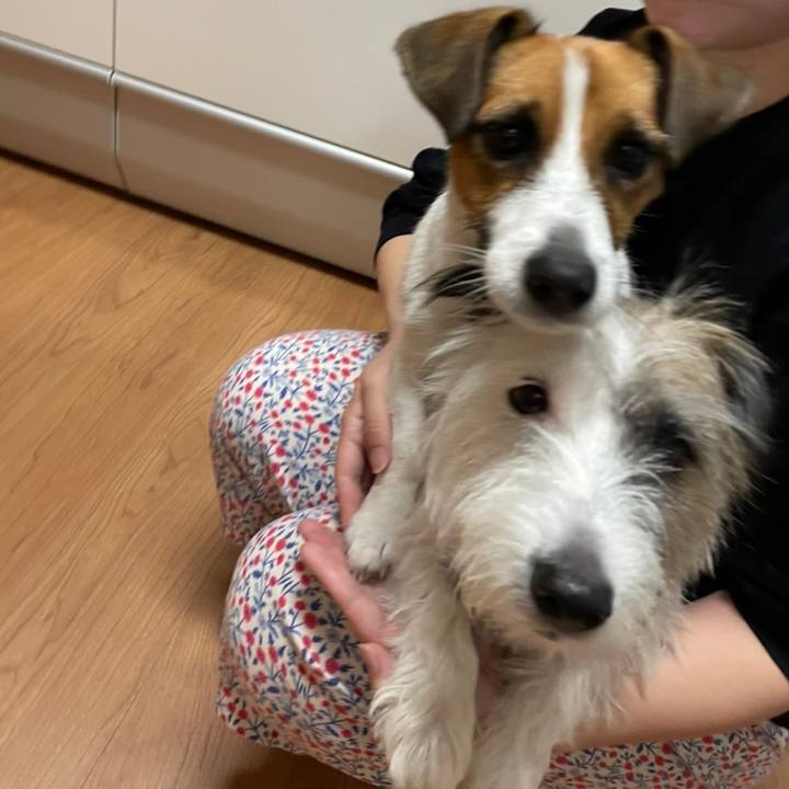 A1b6c54a e21a 4371 aff5 72c36855c5e0 1634428520195