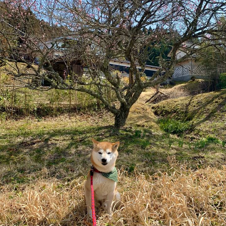 A1b74631 009e 4a11 8f06 2088d7072d6a 1648112079353