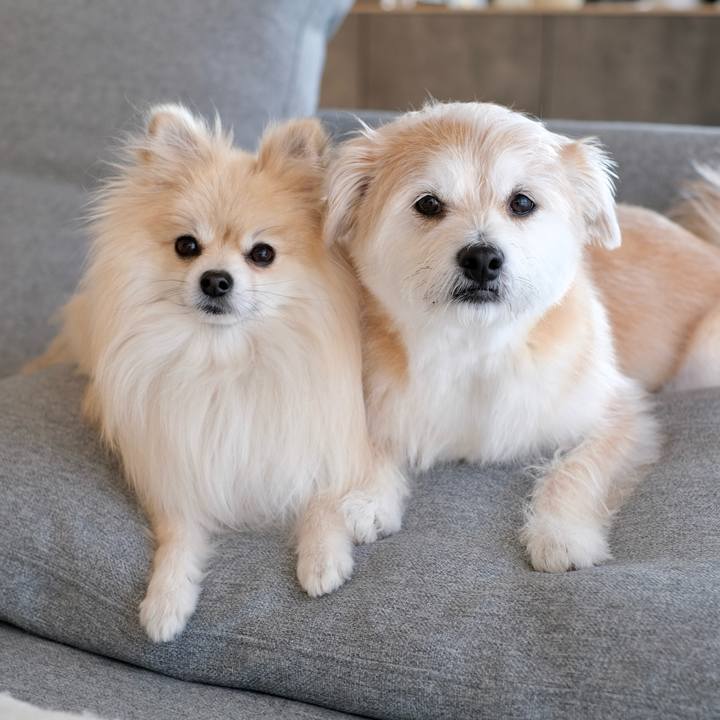 A1b74a5d d912 43c6 a5a4 1fb08d7a716a 1774133102169