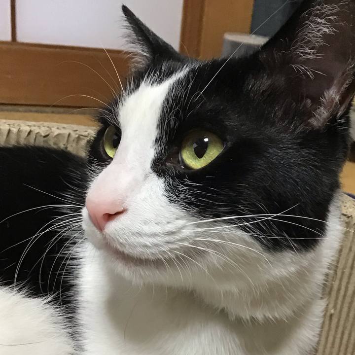 A1b755d8 24c9 4773 ada5 62417654b2b6 1715068270930