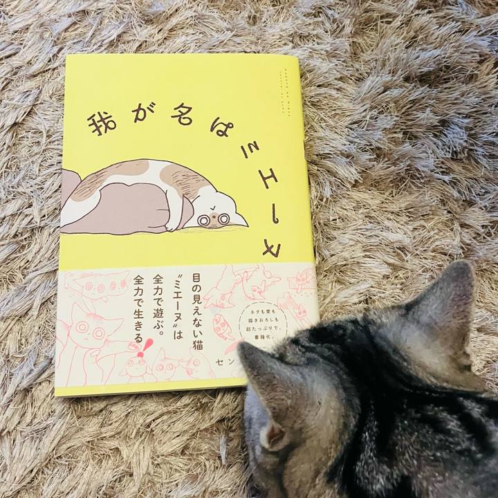 A1b75f50 4f58 40e4 b07d ae5438de7def 1765552299547