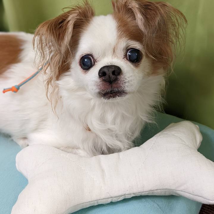 A1b767db 5e05 40f7 97c8 13d9c191a315 1659103442335