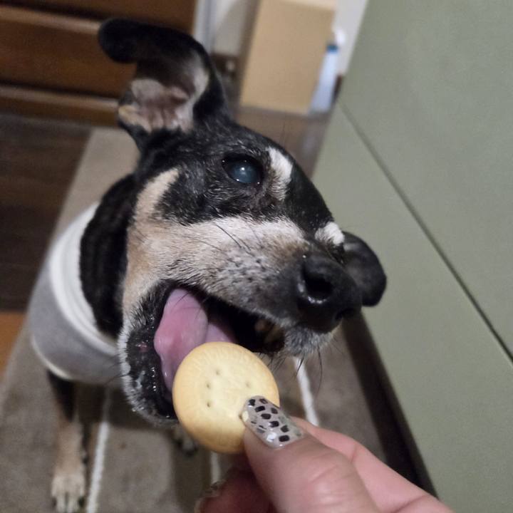 A1b7a55b dfe1 47e2 9a0b b28db8c05d62 1766432883827