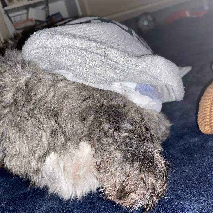 A1b7b0cb 1863 4cc8 aa0f 197097c1cedd 1580486685851