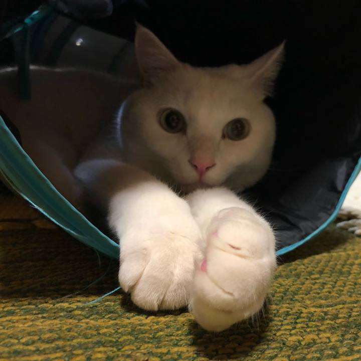 A1b7b693 6589 4f5d 8961 9655971befb8 1608898173994