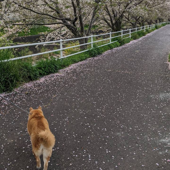 A1b7ba1d 0054 4414 9aaf 5fee8a01ac98 1744376058090