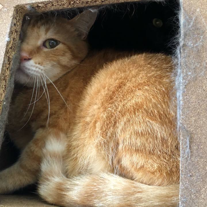 A1b7cc7b 0f9e 49bd aada 563ad7c9d96b 1598062786552