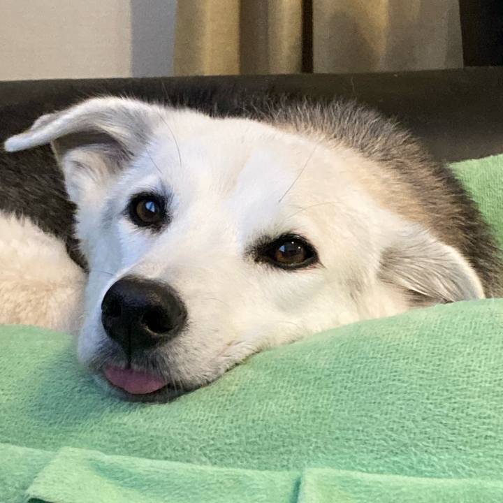 A1b7da69 860f 4759 a303 01facba017a0 1667273914164