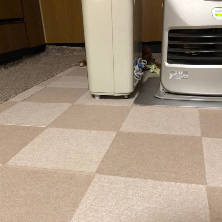 A1b7e928 0ff4 4628 a401 83bcd265437e 1579705735336