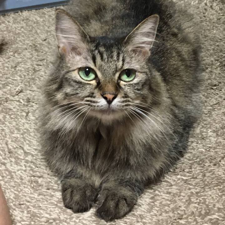 A1b81af6 ecd9 4fc7 85dc f50a04f72fbb 1599214087736