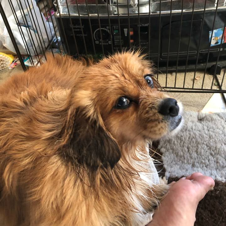 A1b84ada 7d1c 476e ba81 44ec76eec7e2 1548573396812