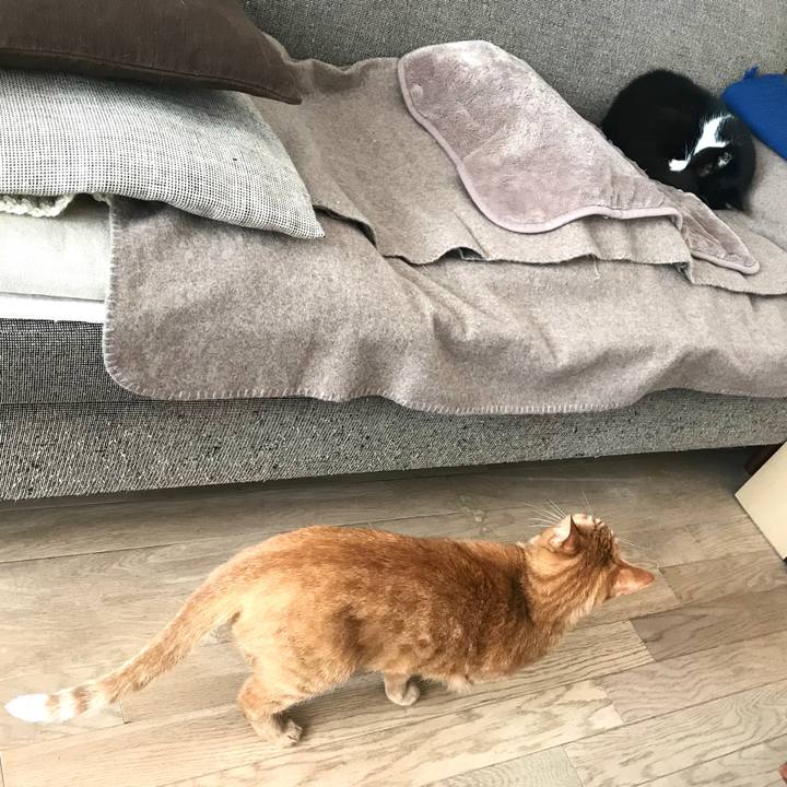 A1b87b9b 3964 4592 a03a bf03cc803b8e 1573527635251