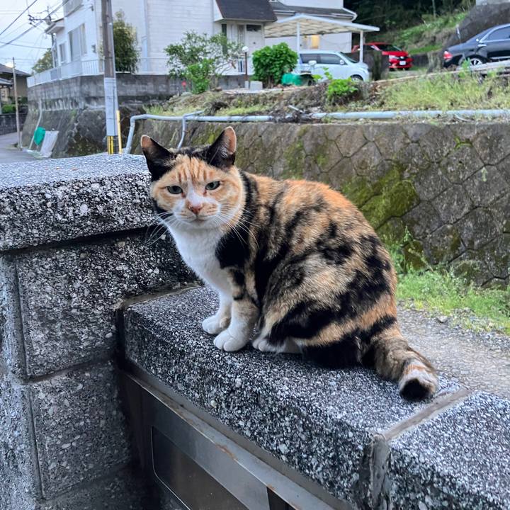 A1b88784 6235 4568 8c29 5d9b1aad0e4c 1764109772126