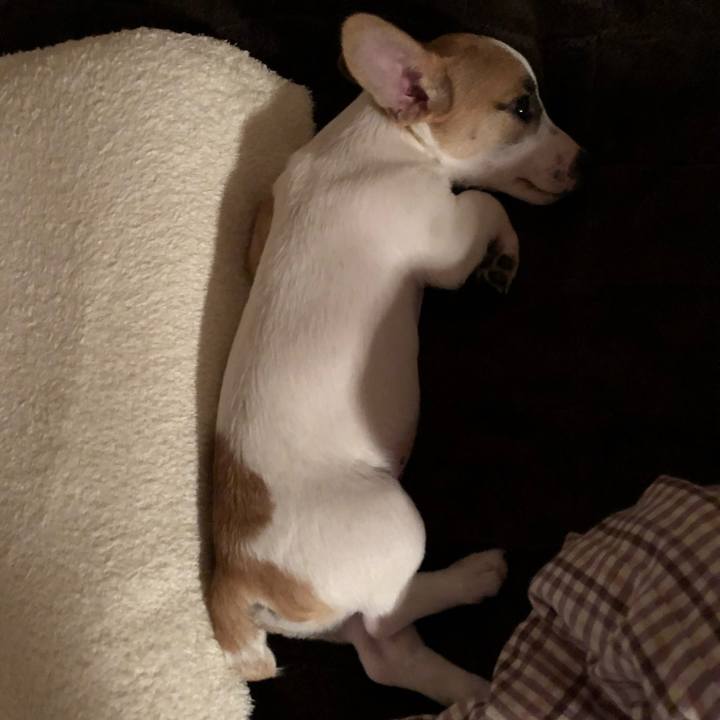 A1b8de62 7ced 404c b2e3 b0ff64156049 1547904418723