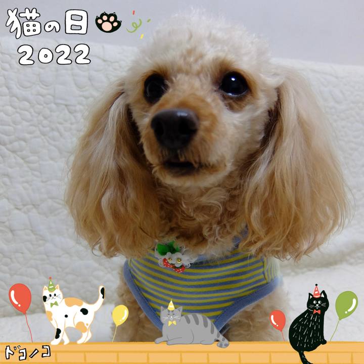 A1b95370 154e 482c 9681 b5d5242e186c 1645525387948