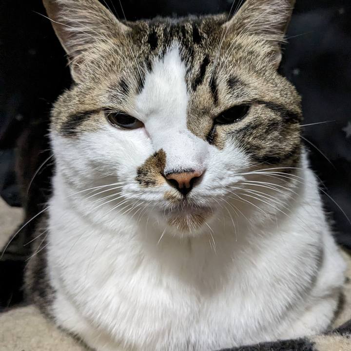 A1b963bc 1729 4485 aa93 c090da5cdcb3 1699103336461