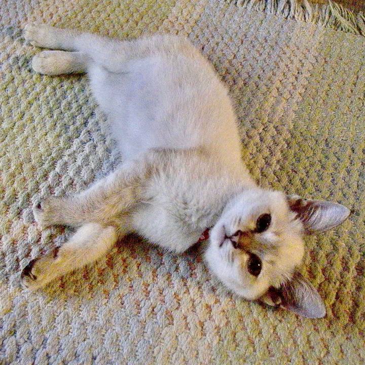 A1b97159 cd5b 4f44 86e3 6c742a32e07c 1616155952340