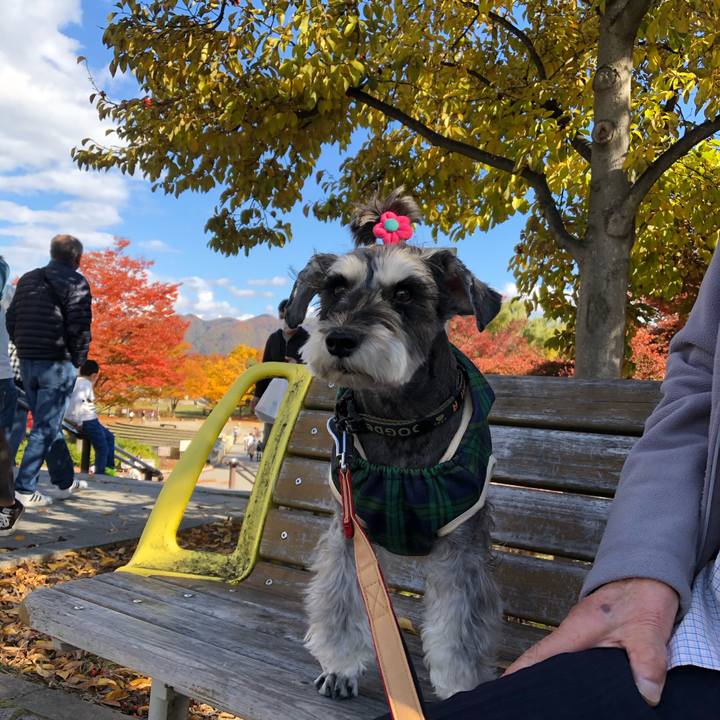 A1b9d8a7 8a10 44ed ada3 ab974a332bc3 1667722098416