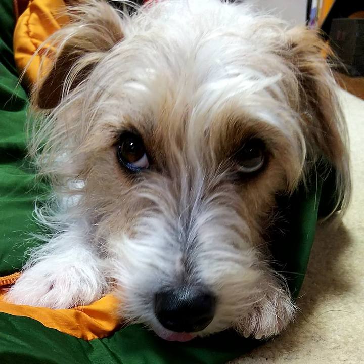 A1b9d9c9 b511 4acb 9faa 5b6d5ddb6e2c 1528641217357