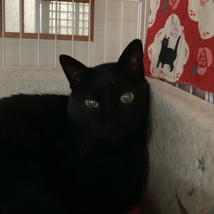 A1b9e670 0c27 4b48 a622 1537401a8c59 1552351509692