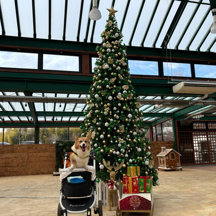 A1ba62bd df12 49ed a244 ee4409543f50 1766639099887